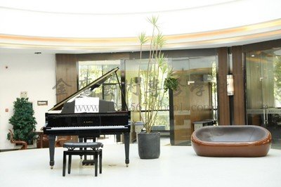 杭州钢琴培训